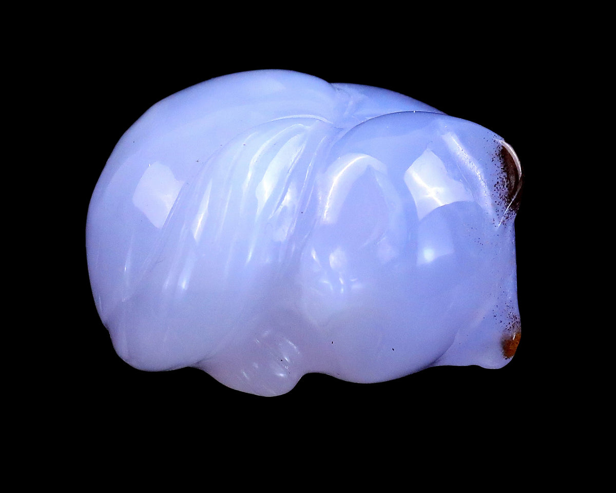 1.6" Blue Chalcedony Hand Carved Sleepy Cat