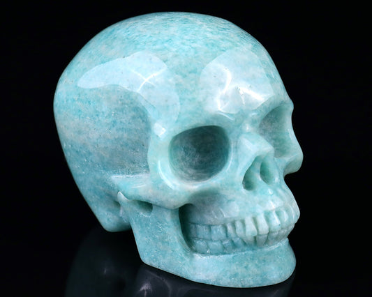 Kindred Vein 3.0" Amazonite Hand Carved Crystal Realistic Skull Sculpture (SKU: 5100090) - Photo 1