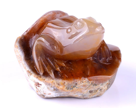 Kindred Vein 3.2" Chalcedony Hand Carved Crystal Frog Sculpture (SKU: 4100164) - Photo 1