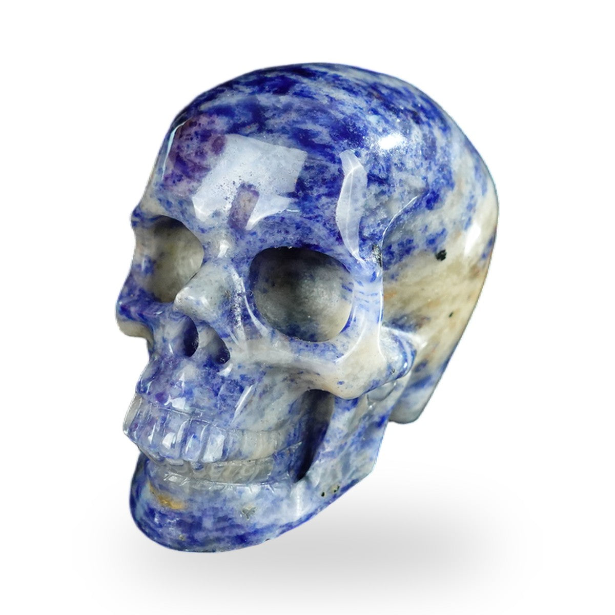 Kindred Vein 2.2" Sodalite Hand Carved Crystal Realistic Skull Sculpture (SKU: SKH20SL20) - Photo 160