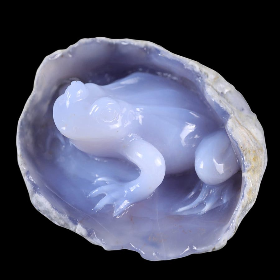 5.2" Blue Chalcedony Frog in Cave Carving