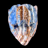 9.8" Blue Angelite Wolf Head Carving