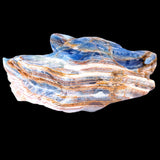 9.8" Blue Angelite Wolf Head Carving