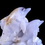 11.0" Blue Chalcedony Geode Dolphins Carving
