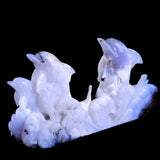 11.0" Blue Chalcedony Geode Dolphins Carving