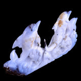 11.0" Blue Chalcedony Geode Dolphins Carving