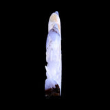 11.0" Blue Chalcedony Geode Dolphins Carving