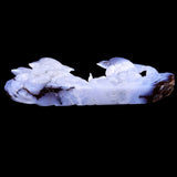 11.0" Blue Chalcedony Geode Dolphins Carving