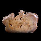 10.6" Yellow Chalcedony Double Fish Playing with Ball Carving