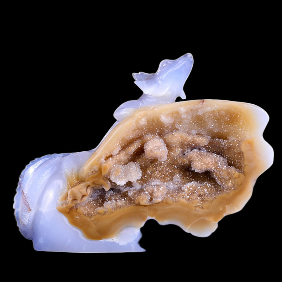 6.7" Blue Chalcedony Geode Chameleon Carving