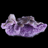 10.3" Amethyst Cluster Snake Carving