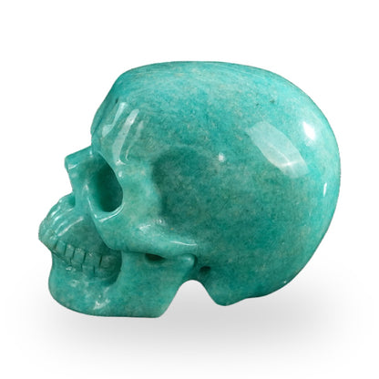 Kindred Vein 3" Amazonite Hand Carved Crystal Realistic Skull Sculpture (SKU: SKH30AA02) - Photo 15