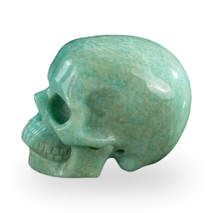 Kindred Vein 3" Amazonite Hand Carved Crystal Realistic Skull Sculpture (SKU: SKH30AA04) - Photo 31