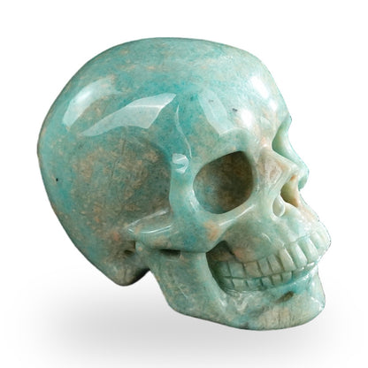 Kindred Vein 3" Amazonite Hand Carved Crystal Realistic Skull Sculpture (SKU: SKH30AA06) - Photo 45