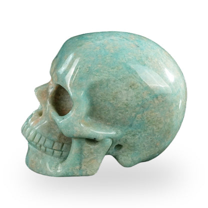 Kindred Vein 3" Amazonite Hand Carved Crystal Realistic Skull Sculpture (SKU: SKH30AA06) - Photo 47