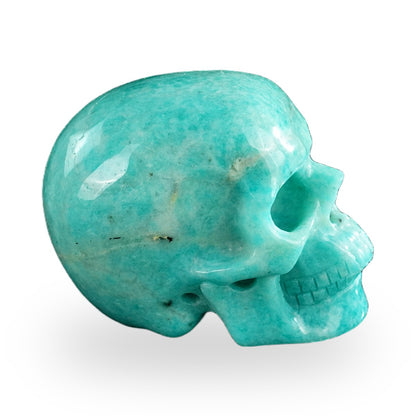 Kindred Vein 3" Amazonite Hand Carved Crystal Realistic Skull Sculpture (SKU: SKH30AA07) - Photo 53