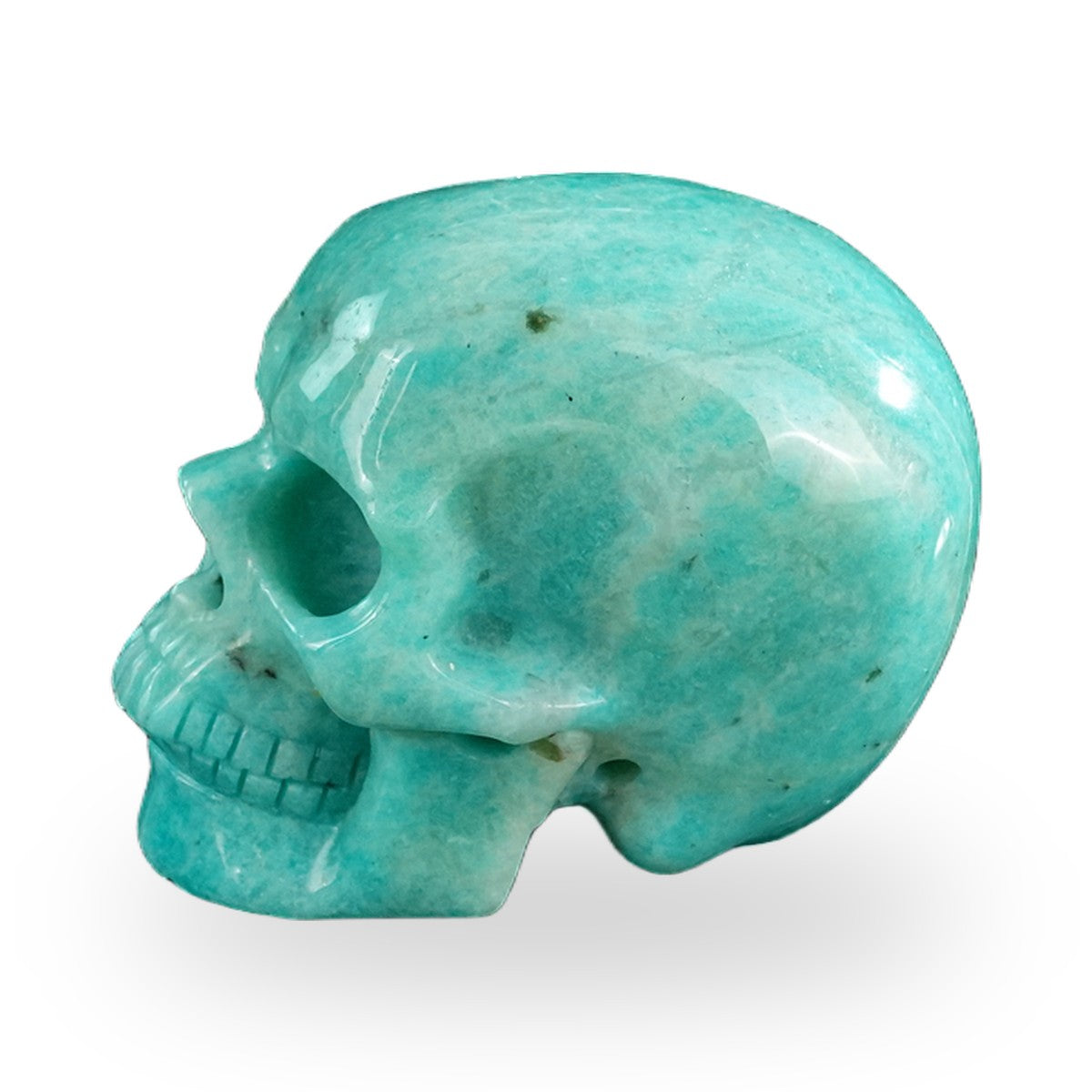 Kindred Vein 3" Amazonite Hand Carved Crystal Realistic Skull Sculpture (SKU: SKH30AA07) - Photo 54