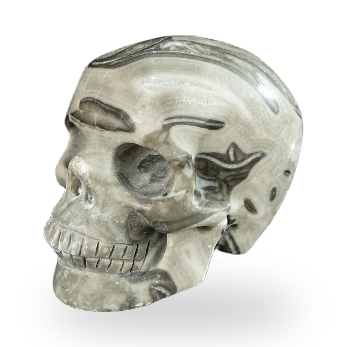 Kindred Vein 2.2" Black Crazy Agate Hand Carved Crystal Realistic Skull Sculpture (SKU: SKH20BCA01) - Photo 7