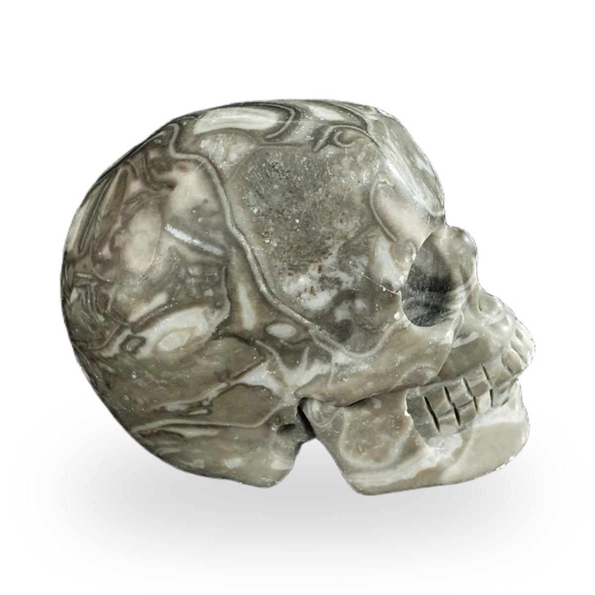Kindred Vein 2.2" Black Crazy Agate Hand Carved Crystal Realistic Skull Sculpture (SKU: SKH20BCA02) - Photo 13