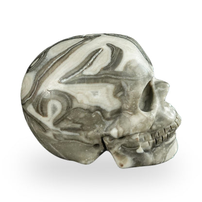 Kindred Vein 2.2" Black Crazy Agate Hand Carved Crystal Realistic Skull Sculpture (SKU: SKH20BCA06) - Photo 44
