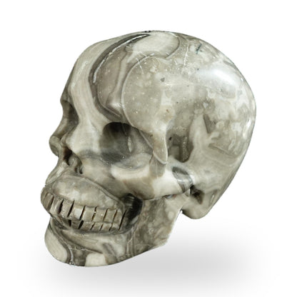 Kindred Vein 2.2" Black Crazy Agate Hand Carved Crystal Realistic Skull Sculpture (SKU: SKH20BCA06) - Photo 47