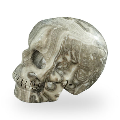 Kindred Vein 2.2" Black Crazy Agate Hand Carved Crystal Realistic Skull Sculpture (SKU: SKH20BCA08) - Photo 60