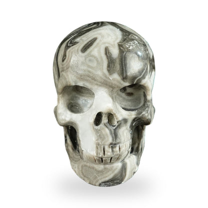 Kindred Vein 2.2" Black Crazy Agate Hand Carved Crystal Realistic Skull Sculpture (SKU: SKH20BCA12) - Photo 87