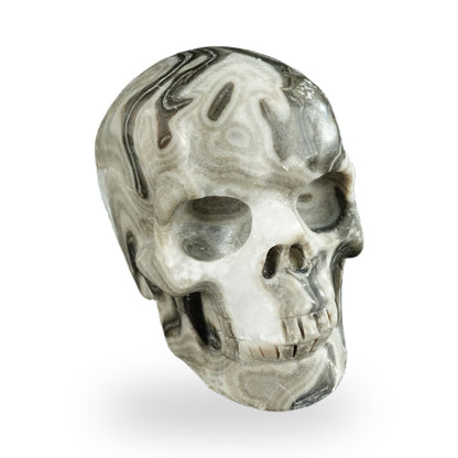 Kindred Vein 2.2" Black Crazy Agate Hand Carved Crystal Realistic Skull Sculpture (SKU: SKH20BCA12) - Photo 88
