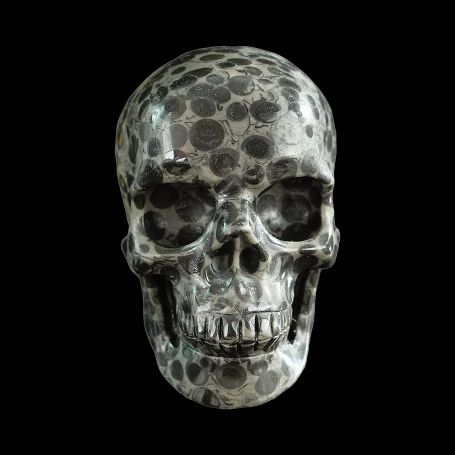 3" Black Leopard Skin Jasper Hand Carved Crystal Realistic Skull