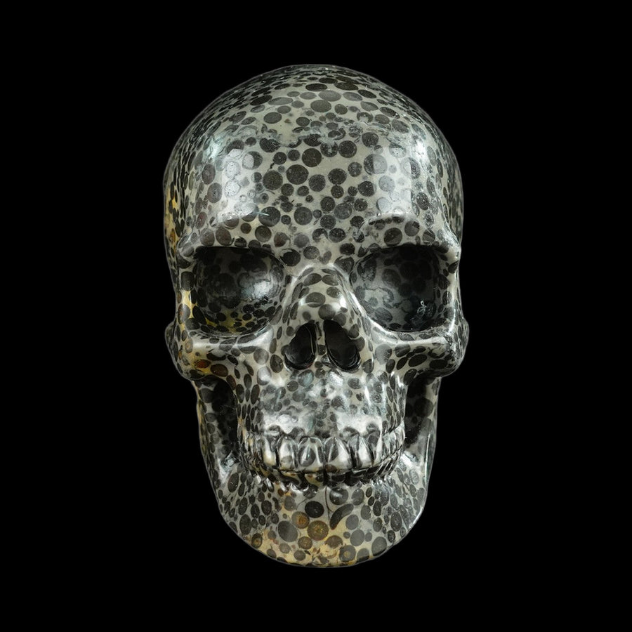 4.5" Black Leopard Skin Jasper Hand Carved Crystal Realistic Skull