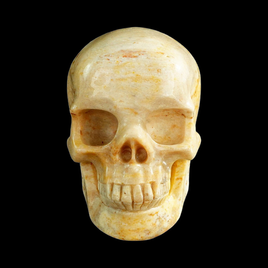 3" Coral Fossil Hand Carved Crystal Realistic Skull
