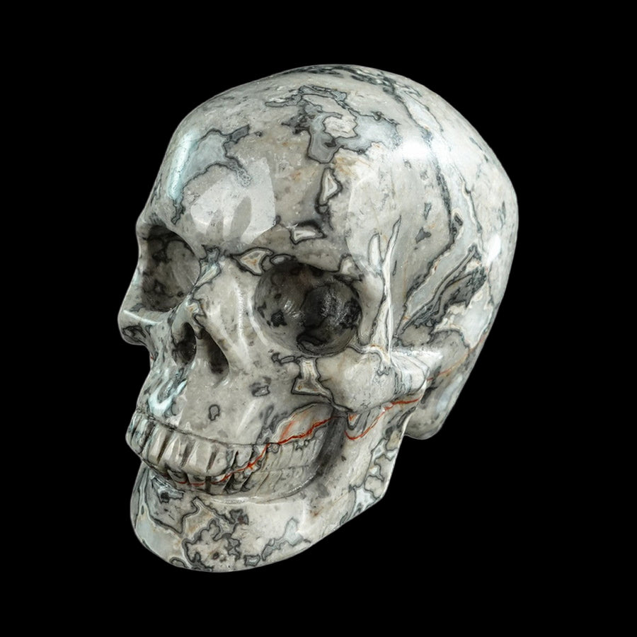 3" Grey Picture Jasper Hand Carved Crystal Realistic Skull