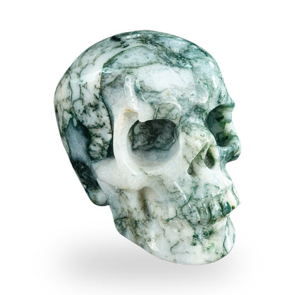 Kindred Vein 4.5" Moss Agate Hand Carved Crystal Realistic Skull Sculpture (SKU: SKH45MA01) - Photo 2