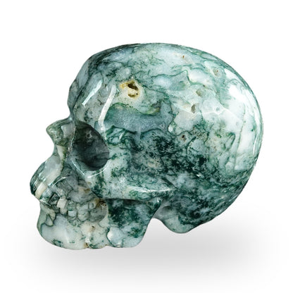 Kindred Vein 4.5" Moss Agate Hand Carved Crystal Realistic Skull Sculpture (SKU: SKH45MA01) - Photo 5