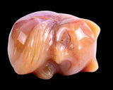 1.6" Chalcedony Hand Carved Crystal Sleepy Cat