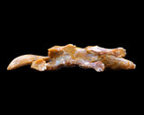 10.2" Chalcedony Hand Carved Crystal Wolf