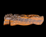 10.6" Leopard Skin Jasper Hand Carved Crystal Leopard