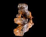 10.6" Leopard Skin Jasper Hand Carved Crystal Leopard