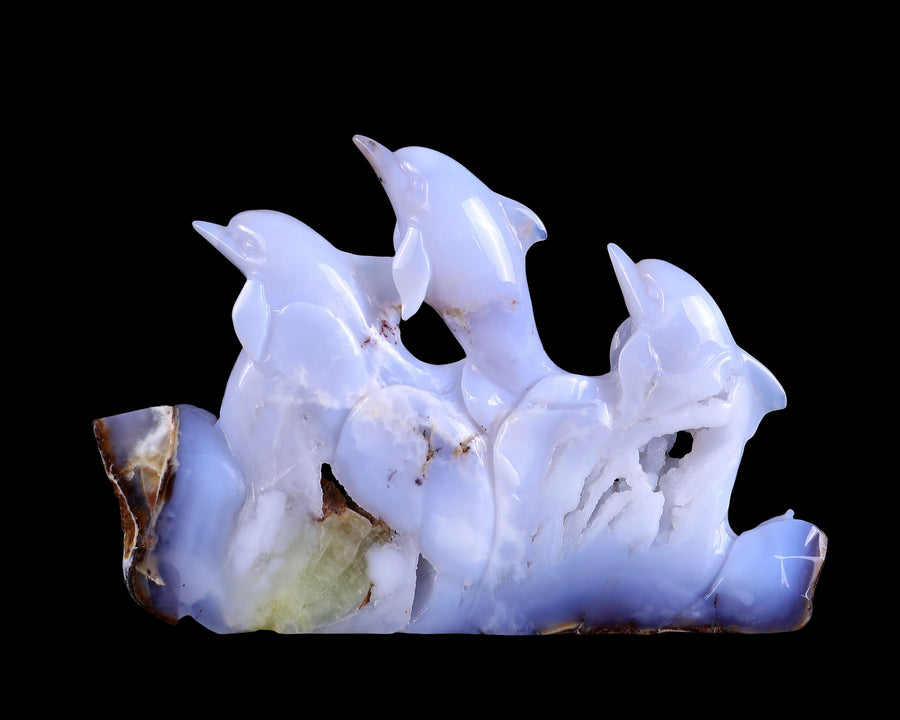 11.8" Blue Chalcedony Hand Carved Crystal Dolphins