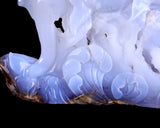 11.8" Blue Chalcedony Hand Carved Crystal Dolphins