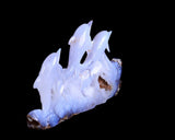11.8" Blue Chalcedony Hand Carved Crystal Dolphins