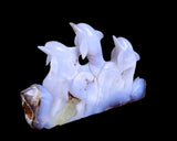 11.8" Blue Chalcedony Hand Carved Crystal Dolphins