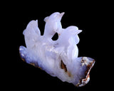11.8" Blue Chalcedony Hand Carved Crystal Dolphins