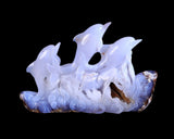 11.8" Blue Chalcedony Hand Carved Crystal Dolphins