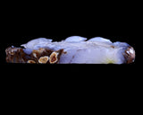 11.8" Blue Chalcedony Hand Carved Crystal Dolphins