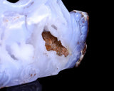 11.8" Blue Chalcedony Hand Carved Crystal Dolphins