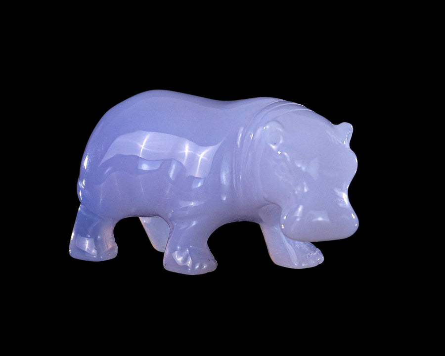2.2" Blue Chalcedony Hand Carved Crystal Hippo