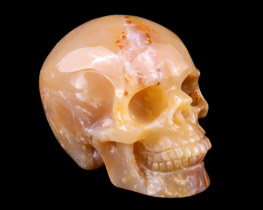 2.2" Chalcedony Hand Carved Realistic Skull | No.101