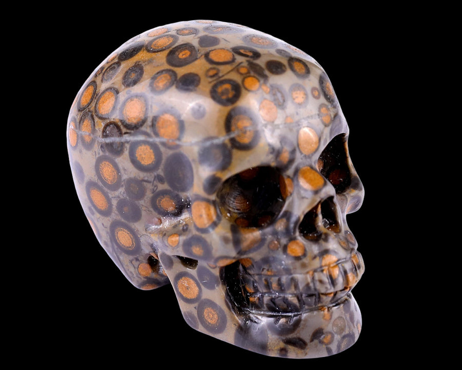 2.2" Leopard Skin Jasper Hand Carved Realistic Skull