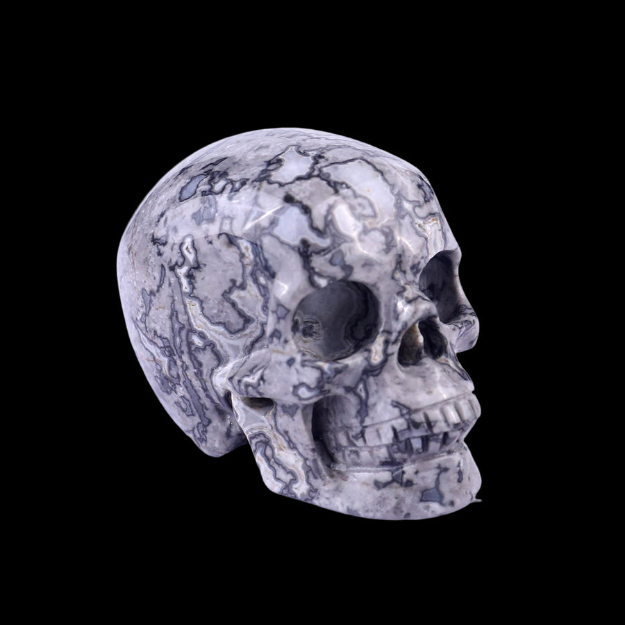 2.2" Grey Picture Jasper Hand Carved Realistic Skull
